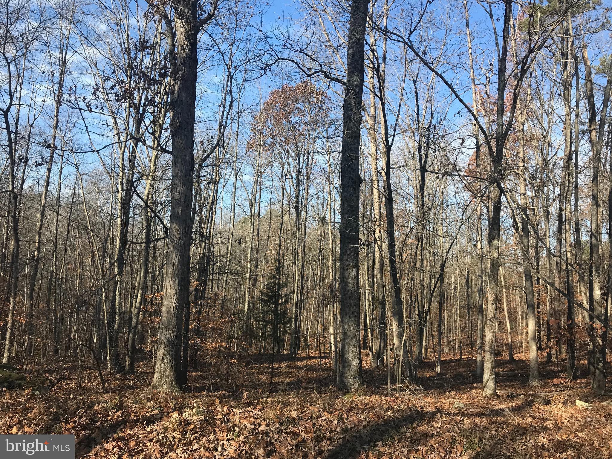 20522 Old Mill Road Culpeper, VA 22701 - Photo 8 of 10 View