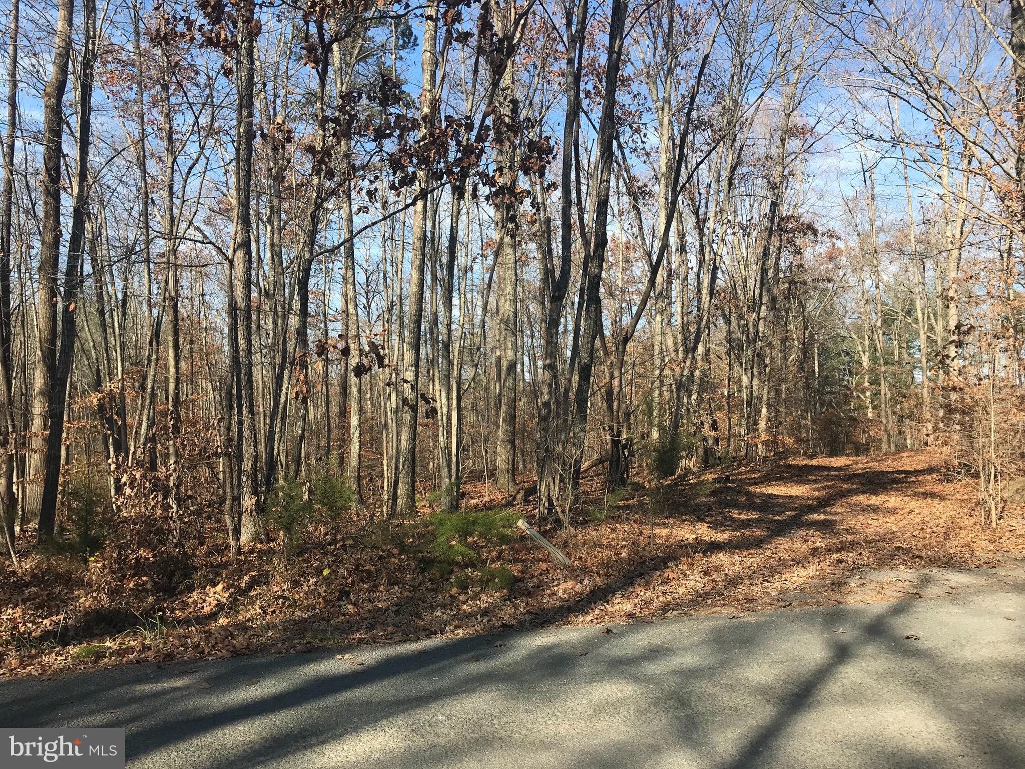 20522 Old Mill Road Culpeper, VA 22701 - Photo 9 of 10 View