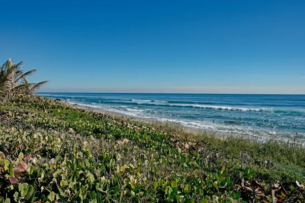 $8,000 | 5500 Old Ocean Boulevard, Unit 210, Ocean Ridge, FL 33435