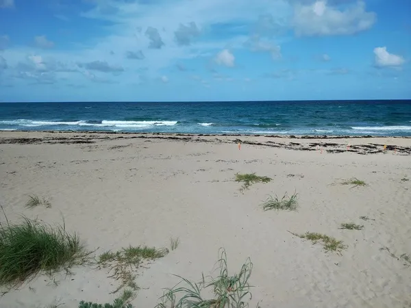 $8,000 | 5500 Old Ocean Boulevard, Unit 210, Ocean Ridge, FL 33435