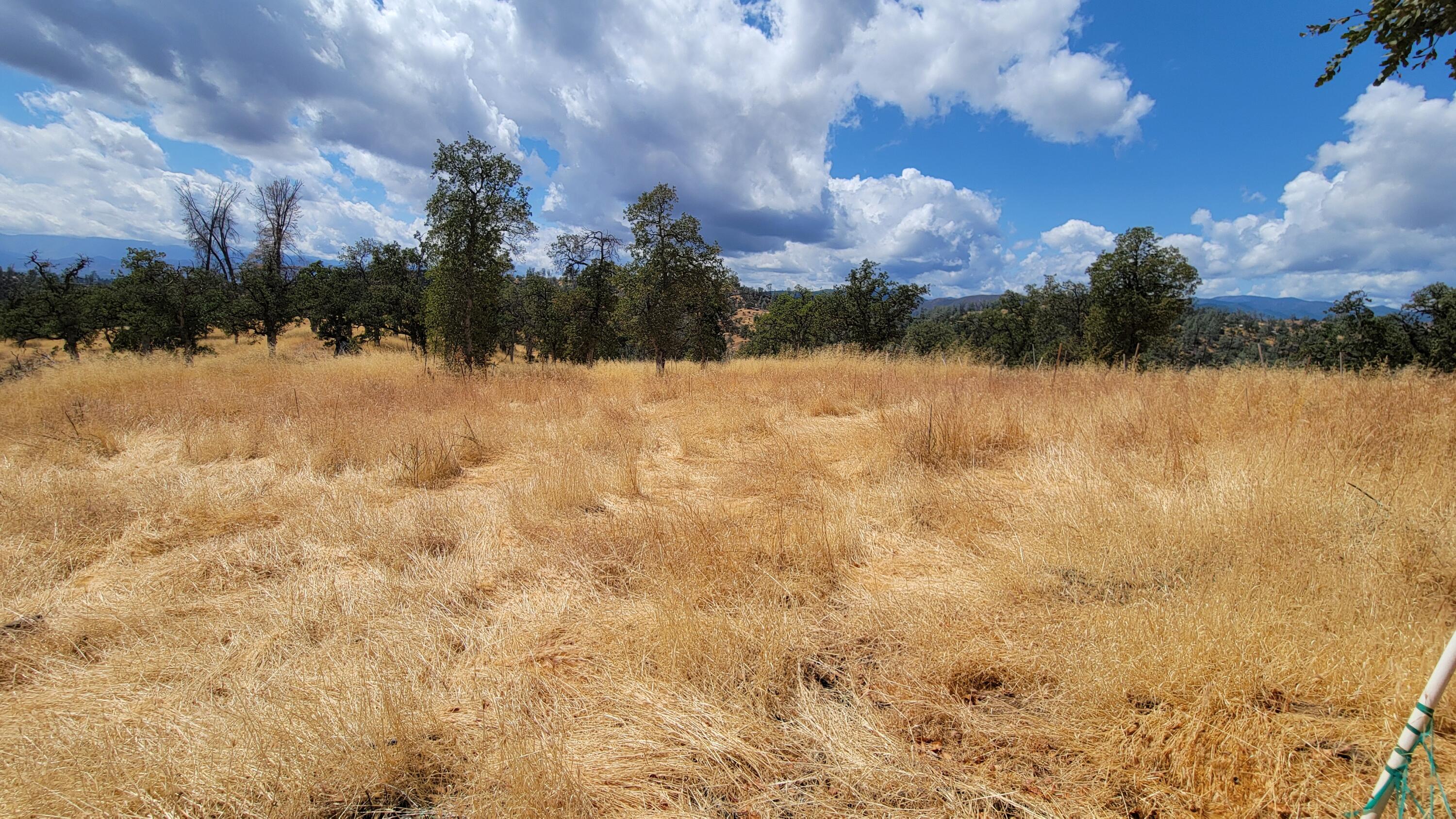 3700 Fiddlers Road Igo, CA 96047 - Photo 16 of 33 a view of lake with mountain in the back