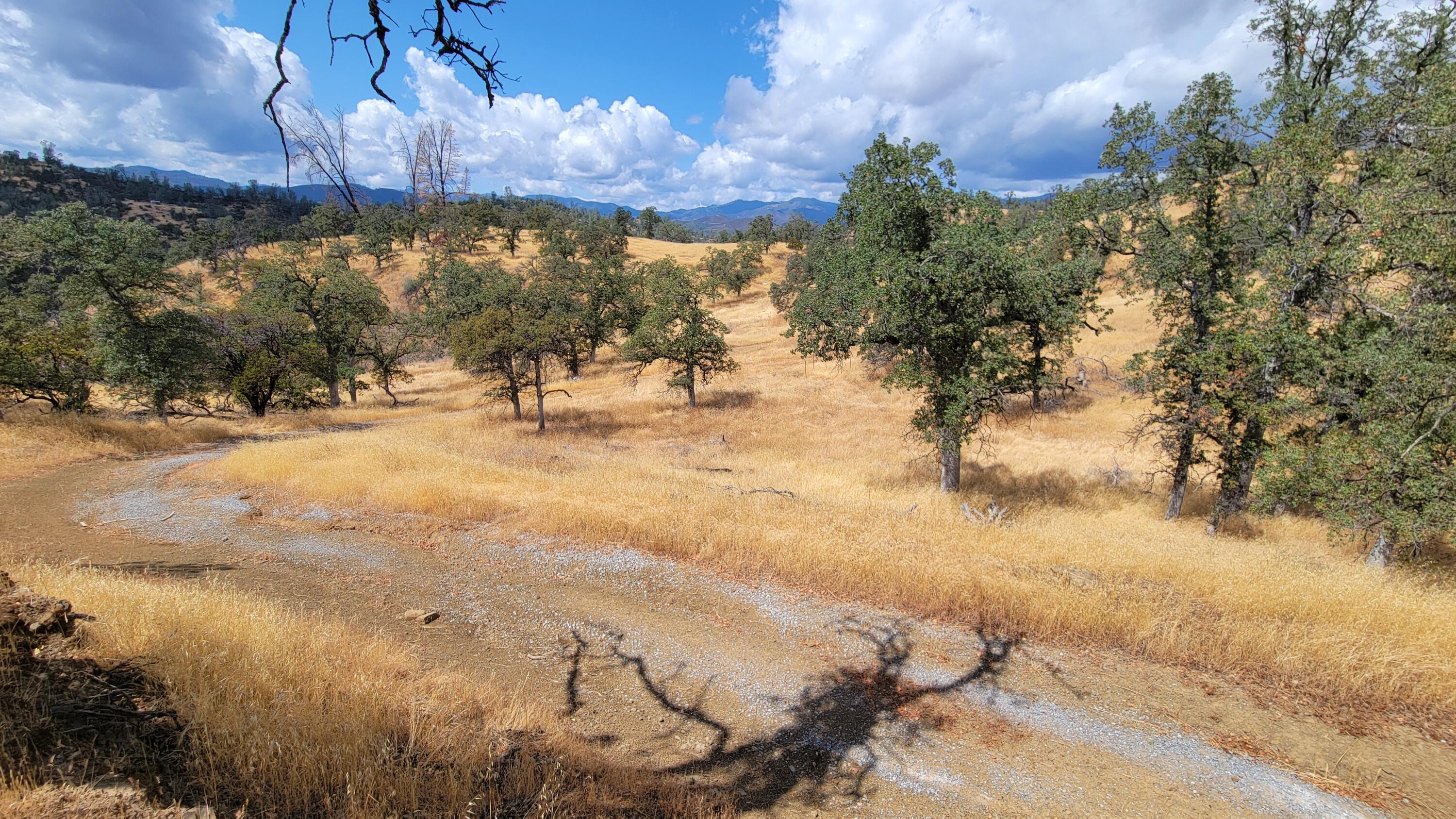 3700 Fiddlers Road Igo, CA 96047 - Photo 28 of 33 a view of a backyard of a house with a yard