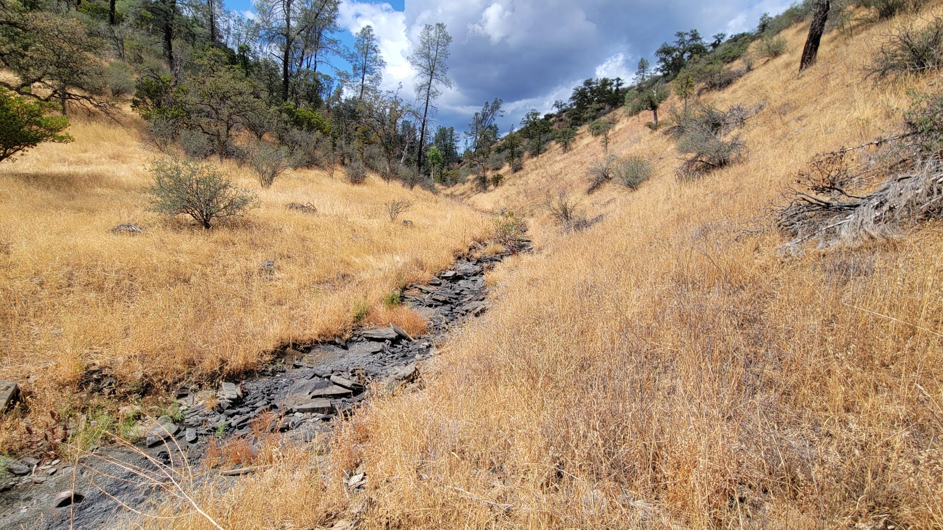 3700 Fiddlers Road Igo, CA 96047 - Photo 31 of 33 a view of side of a forest