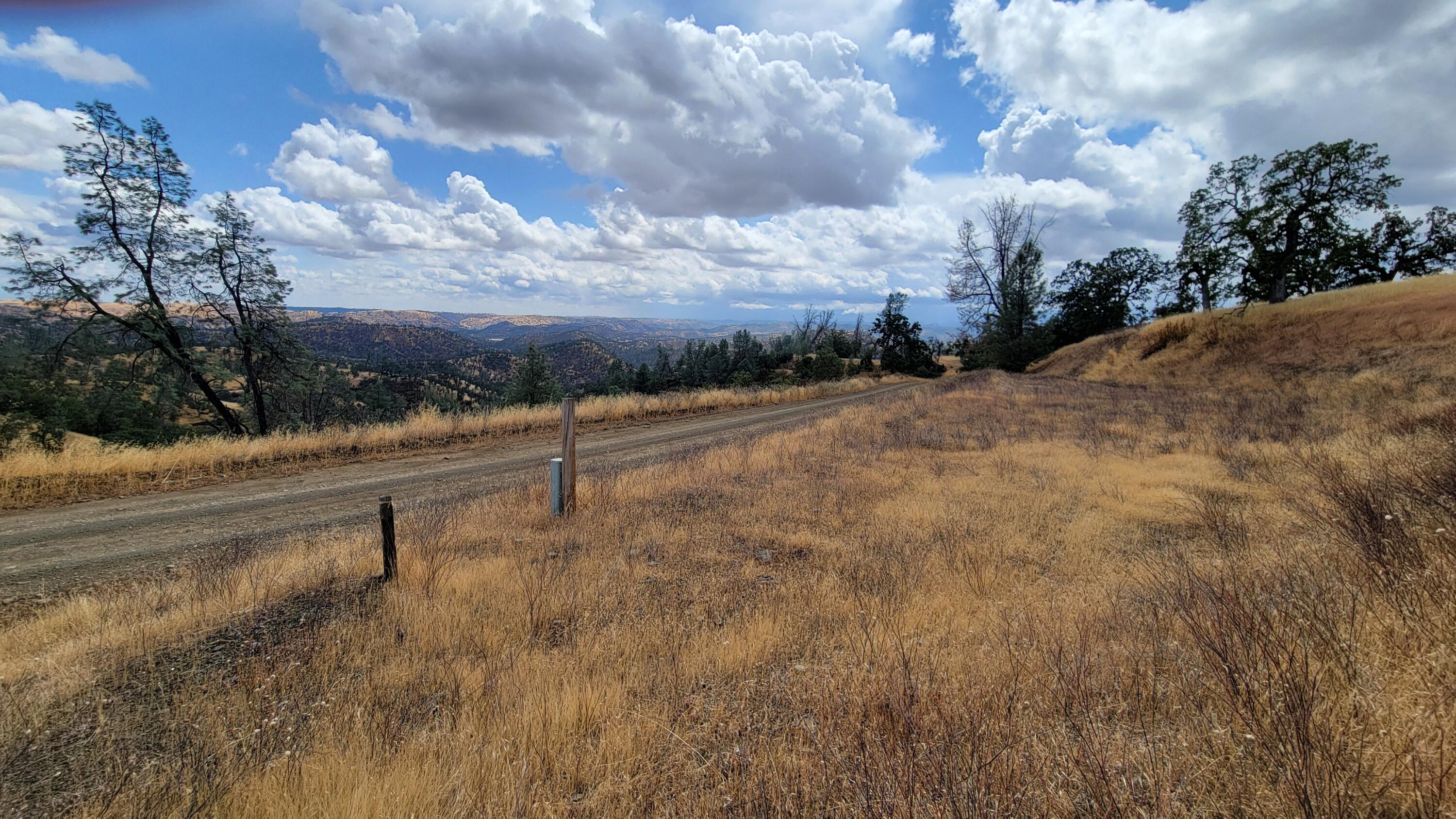 3700 Fiddlers Road Igo, CA 96047 - Photo 9 of 33 a view of outdoor space and yard