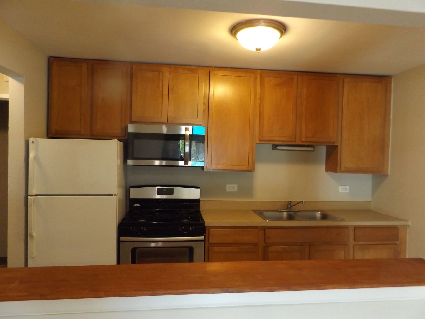 710 West Huntington Commons Road, Unit 1A Mount Prospect, IL 60056 - Photo 5 of 10 a kitchen with a refrigerator and a stove