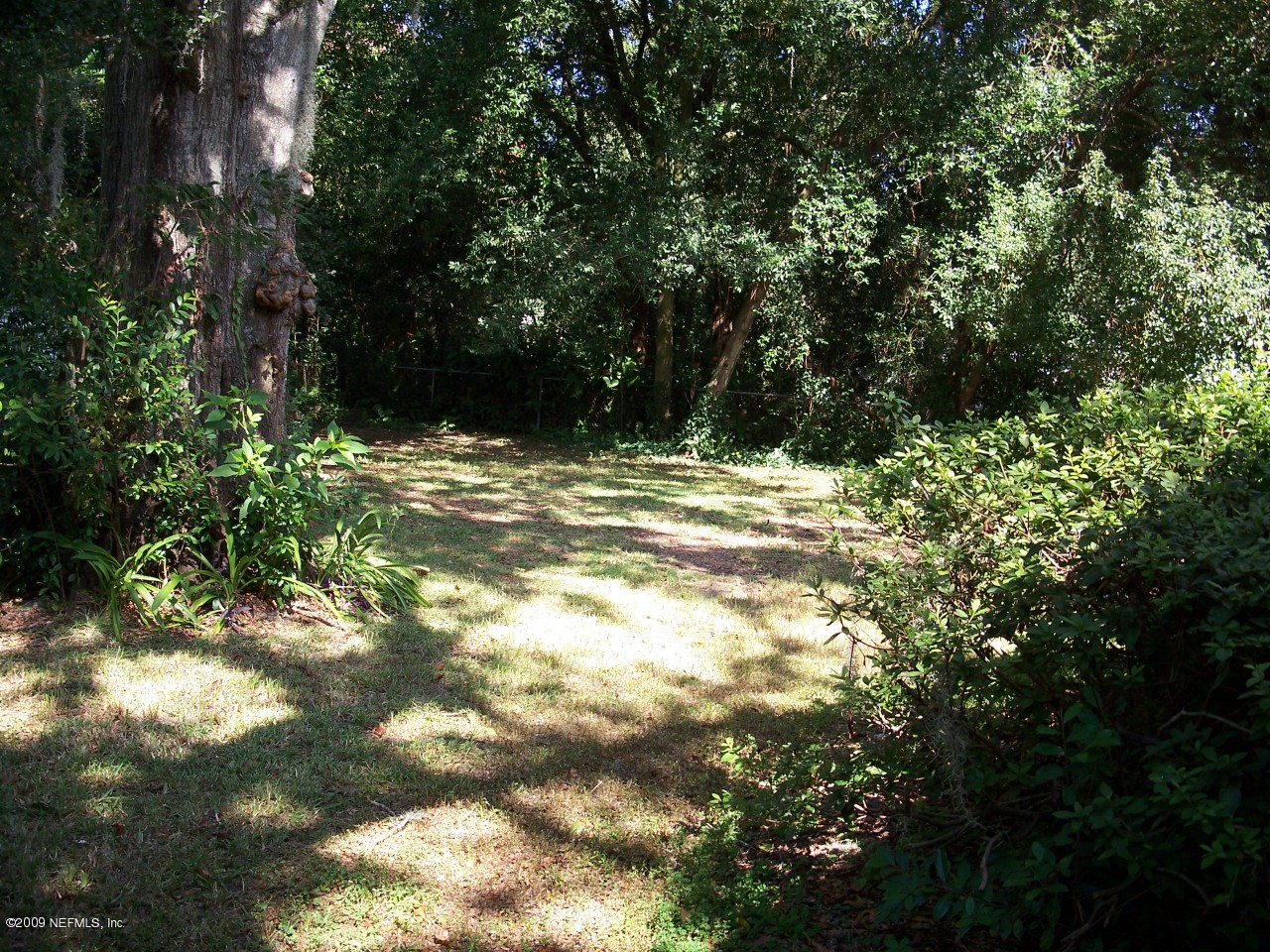 6117 Bartram Road Jacksonville, FL 32216 - Photo 6 of 11 Backyard