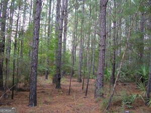 0 Jamestown Road Waycross, GA 31503 - Photo 3 of 19