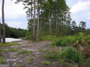 0 Jamestown Road Waycross, GA 31503 - Photo 6 of 19 a view of backyard with green space