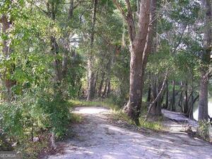 0 Jamestown Road Waycross, GA 31503 - Photo 9 of 19 a view of a forest with trees