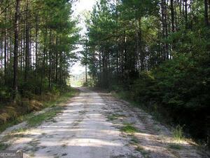 0 Jamestown Road Waycross, GA 31503 - Photo 10 of 19 a view of a yard with plants and trees