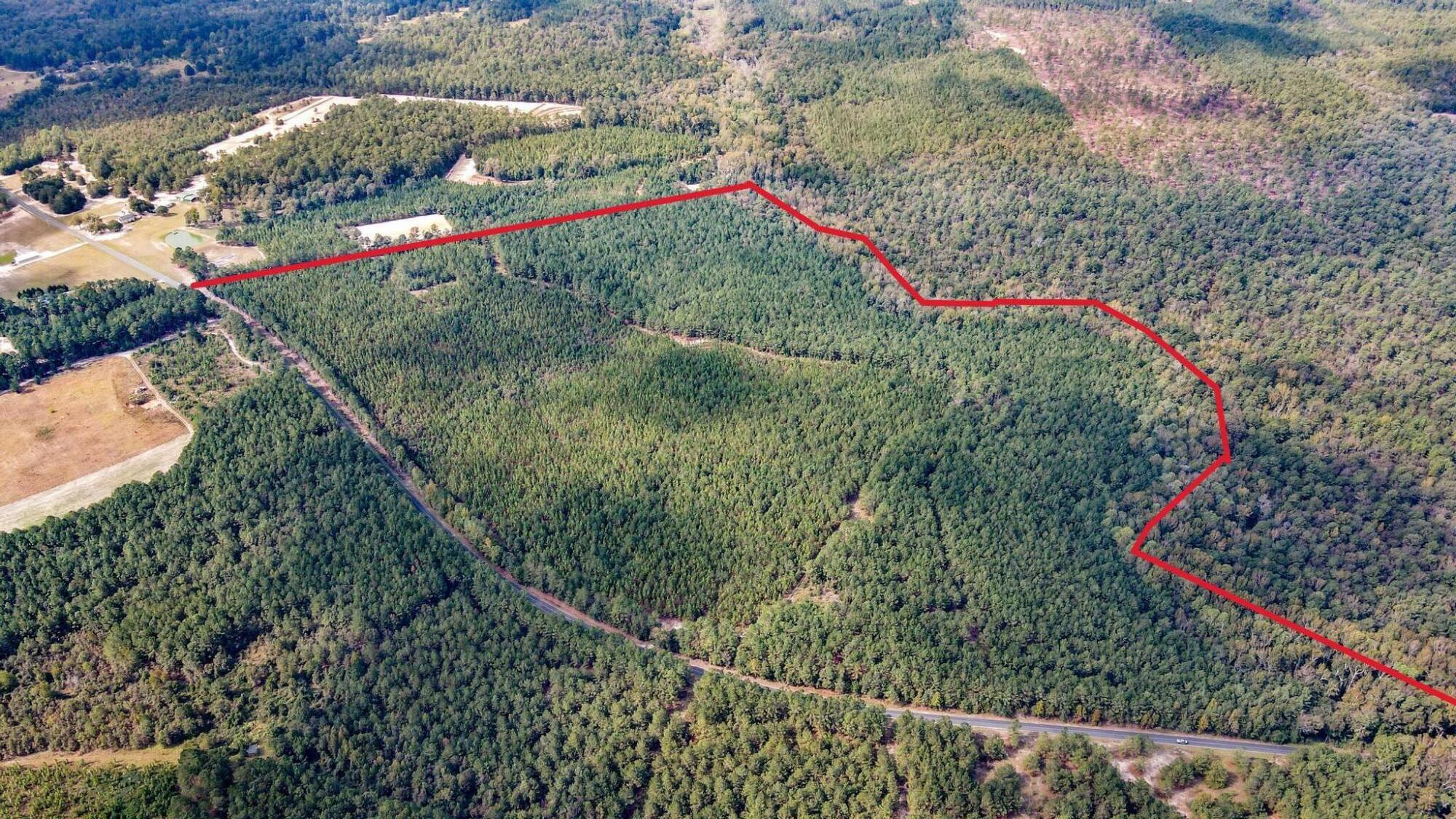 Tbd Mt Beulah Road Windsor, SC 29856 - Photo 3 of 9