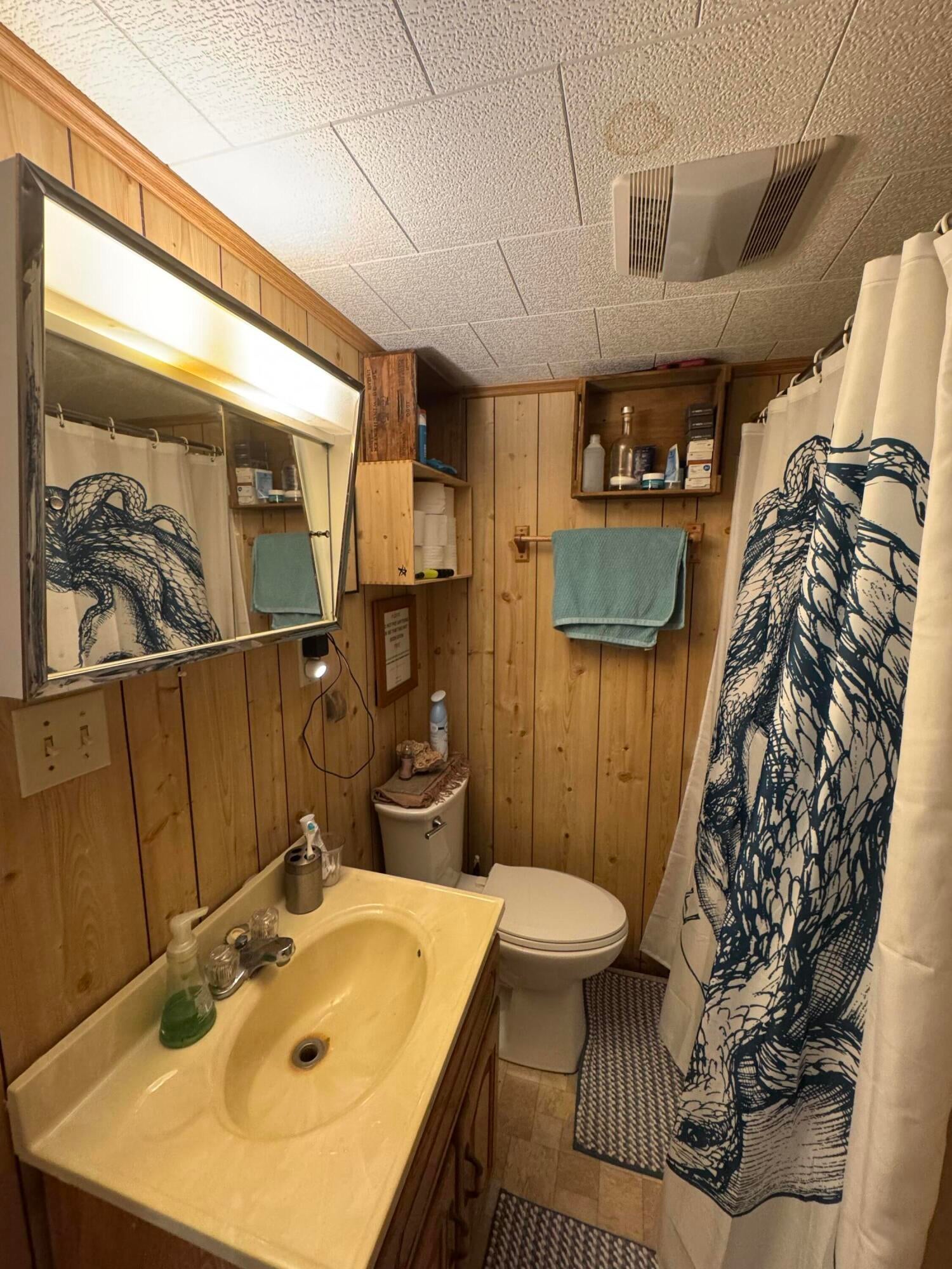 545 Doc Fox Road Forest Hill, WV 24935 - Photo 11 of 27 Master bath- Doc Fox