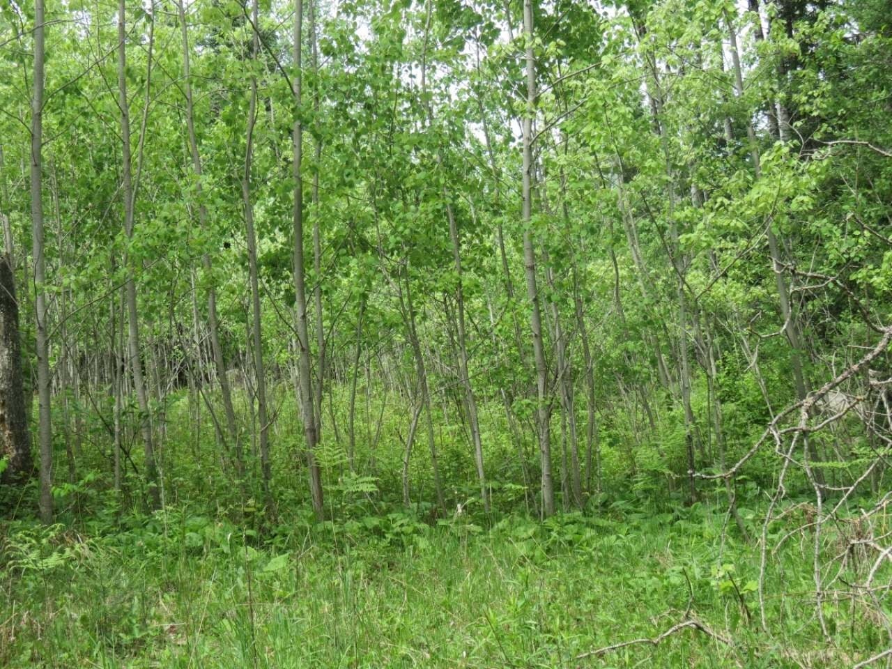 4343 Gagen Road Rhinelander, WI 54501 - Photo 3 of 5 Gallery Image 3