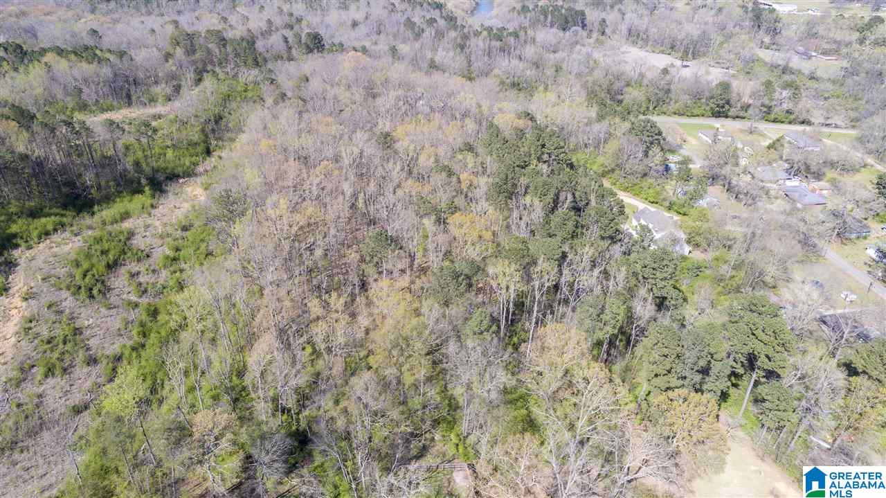 3316 Mulga Loop Road Birmingham, AL 35224 - Photo 43 of 44