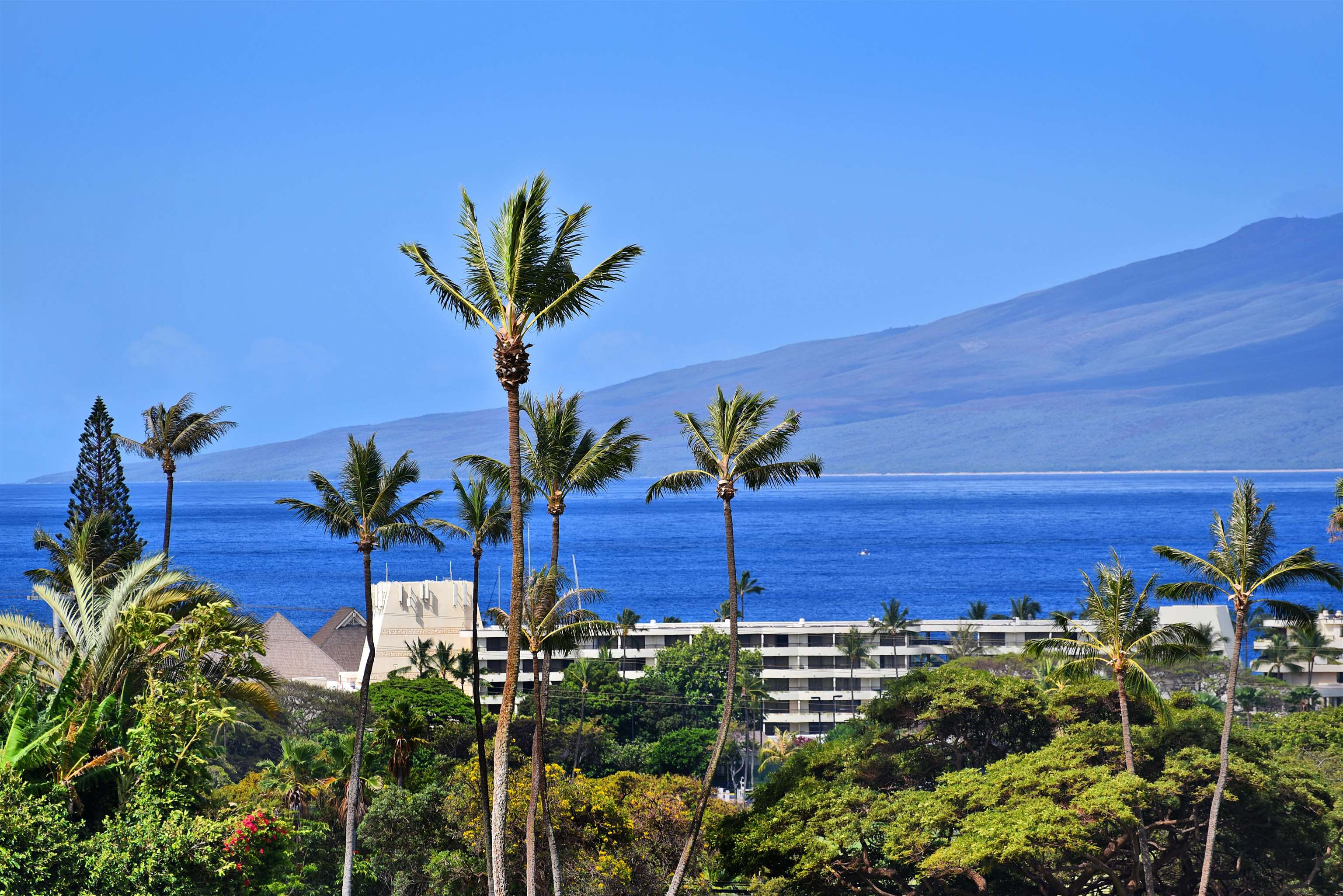 150 Puukolii Road, Unit 6 Lahaina, HI 96761 - Photo 1 of 48