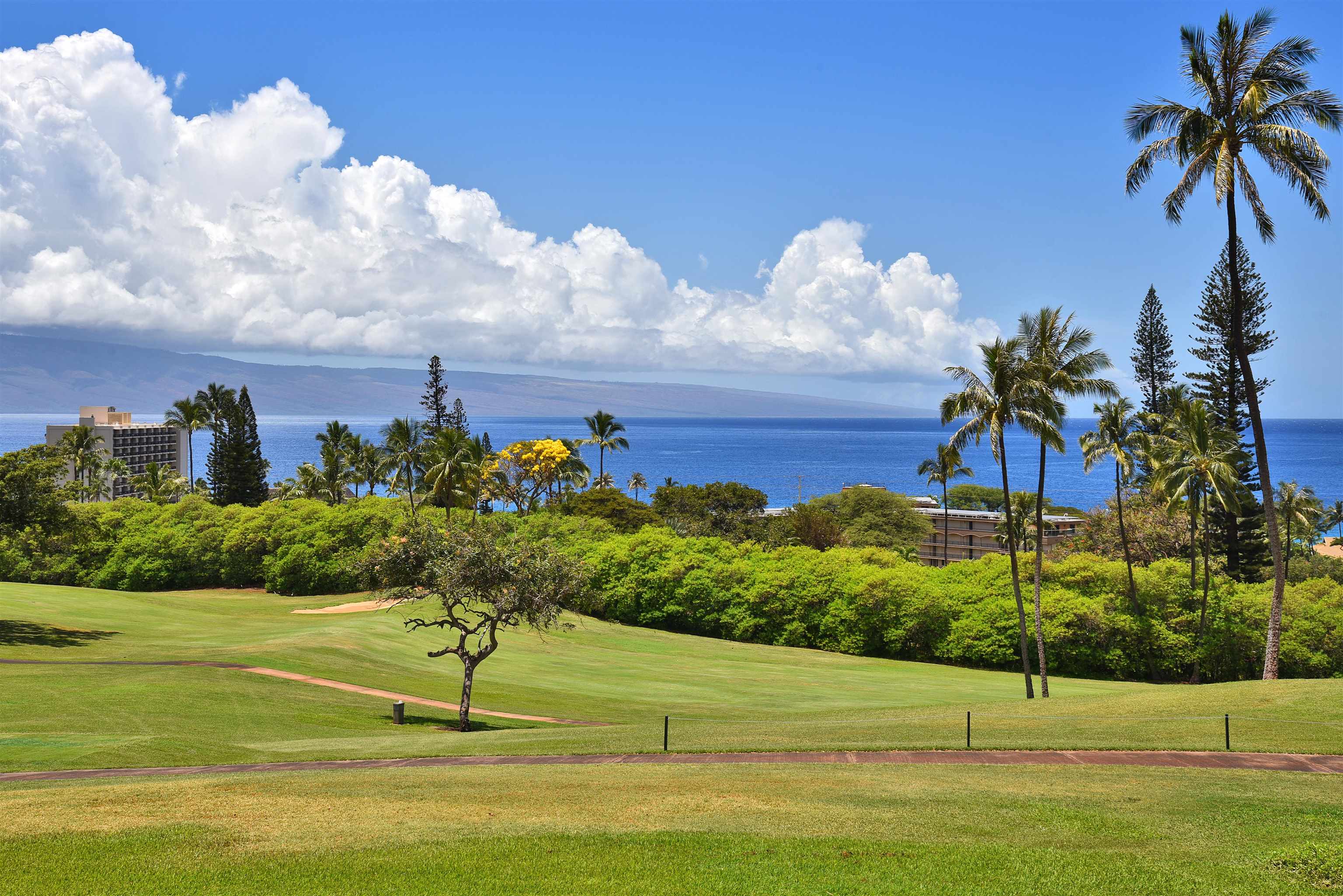 150 Puukolii Road, Unit 6 Lahaina, HI 96761 - Photo 16 of 48