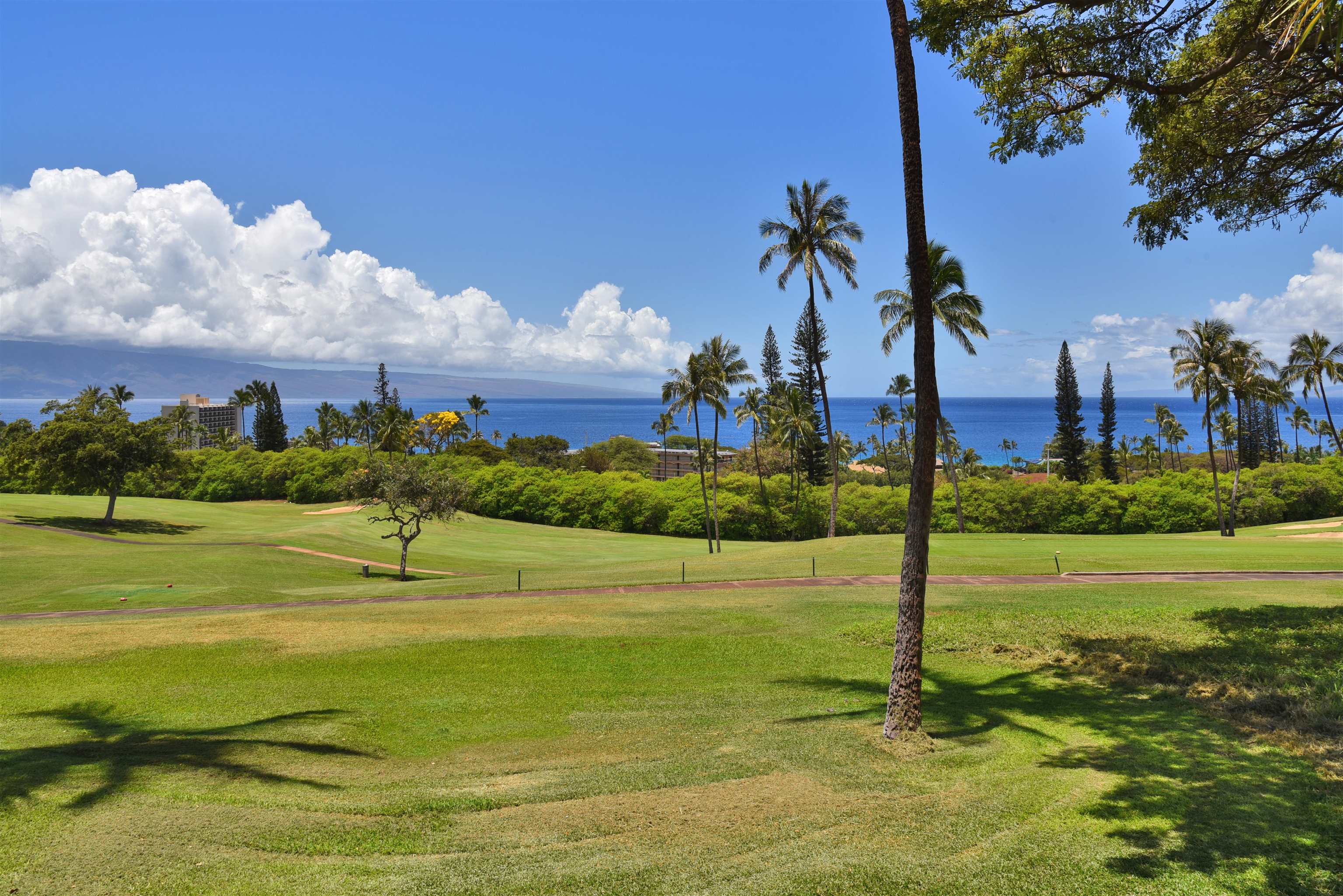 150 Puukolii Road, Unit 6 Lahaina, HI 96761 - Photo 22 of 48