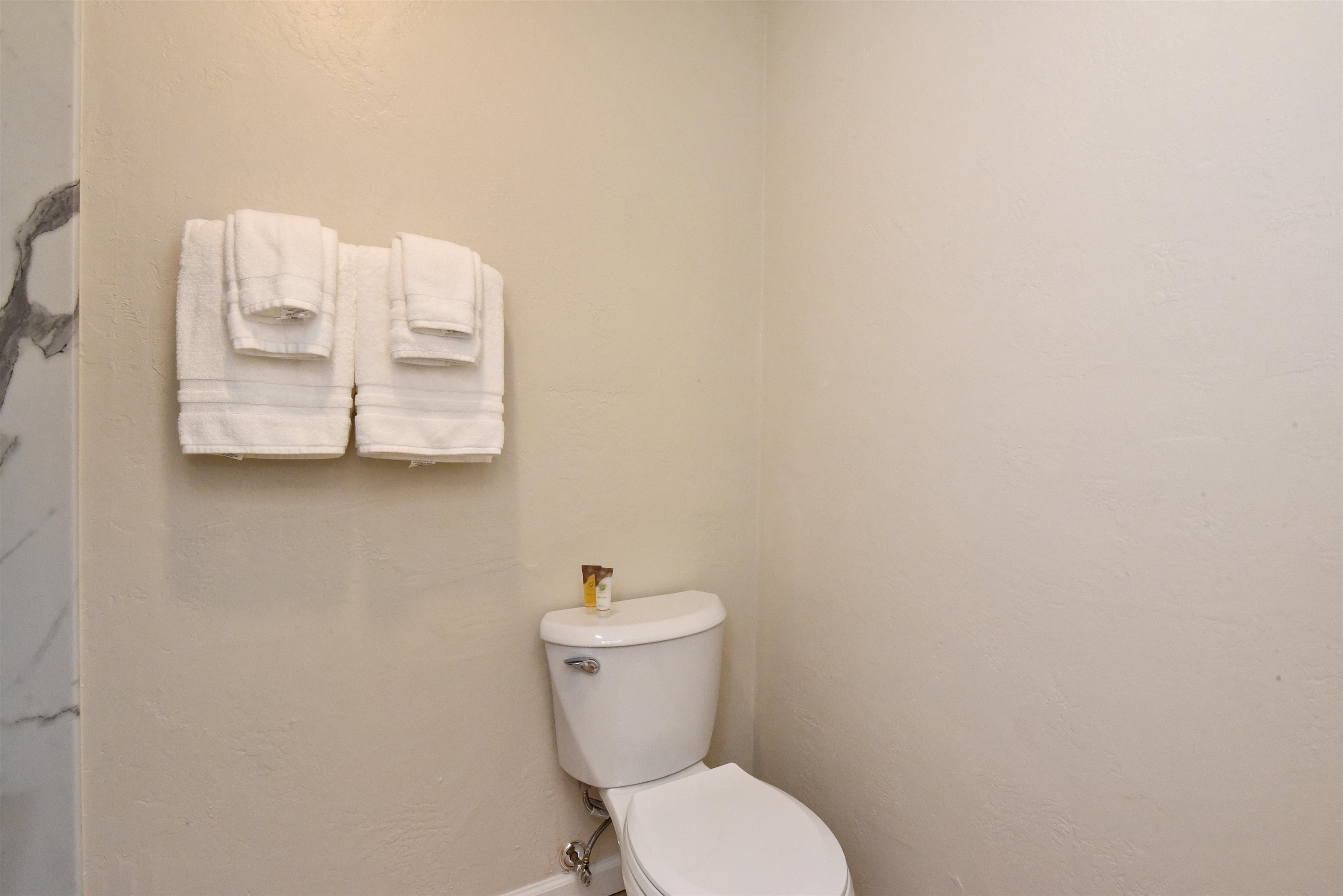 150 Puukolii Road, Unit 6 Lahaina, HI 96761 - Photo 30 of 48