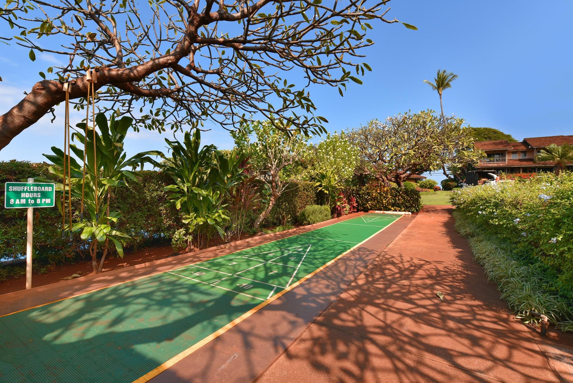 150 Puukolii Road, Unit 6 Lahaina, HI 96761 - Photo 46 of 48