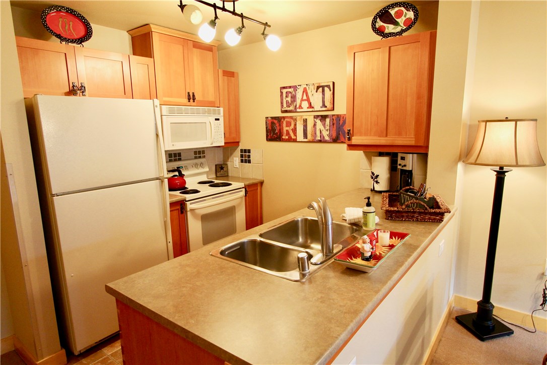 910 Copper Road, Unit 207 Frisco, CO 80443 - Photo 2 of 16 Gallery Image 2