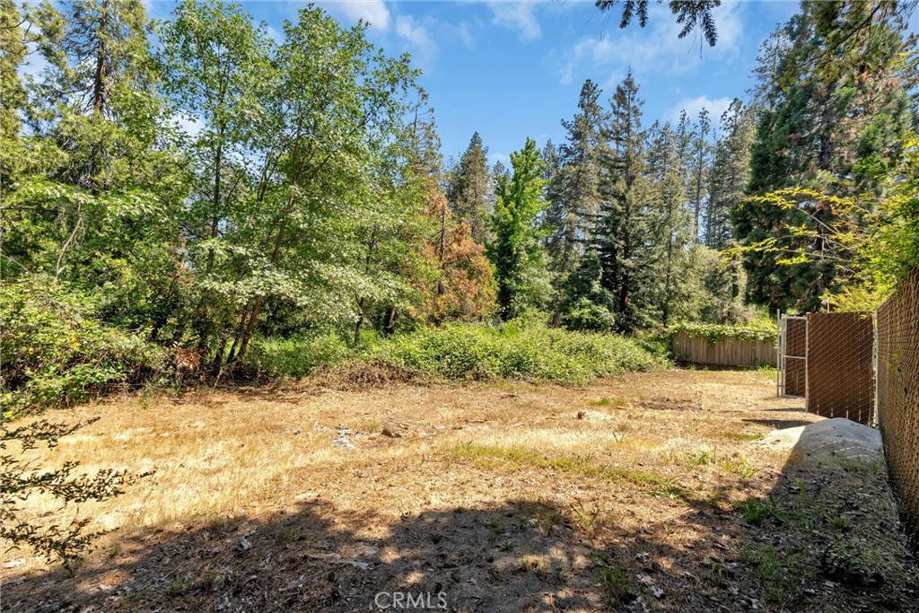 1394 Wagstaff Road Paradise, CA 95969 - Photo 28 of 46 a view of a yard with plants and trees