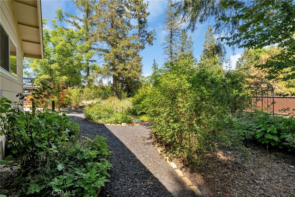 1394 Wagstaff Road Paradise, CA 95969 - Photo 33 of 46 a view of a garden with plants
