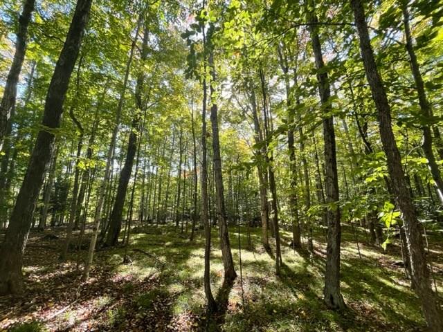 Old Lime Kiln Road Baileys Harbor, WI 54202 - Photo 1 of 14