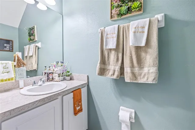 a bathroom with a sink vanity and a mirror