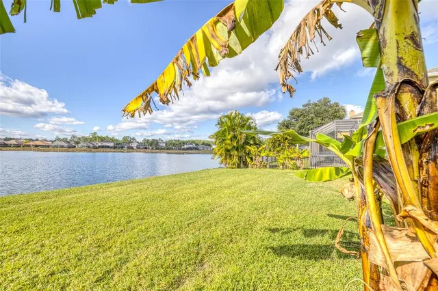 a view of a swimming pool and an outdoor space