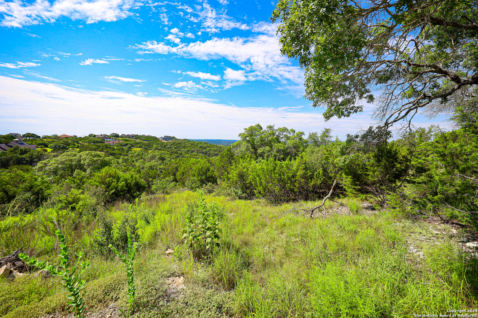 255 River Bend Place Spring Branch, TX 78070 - Photo 17 of 21