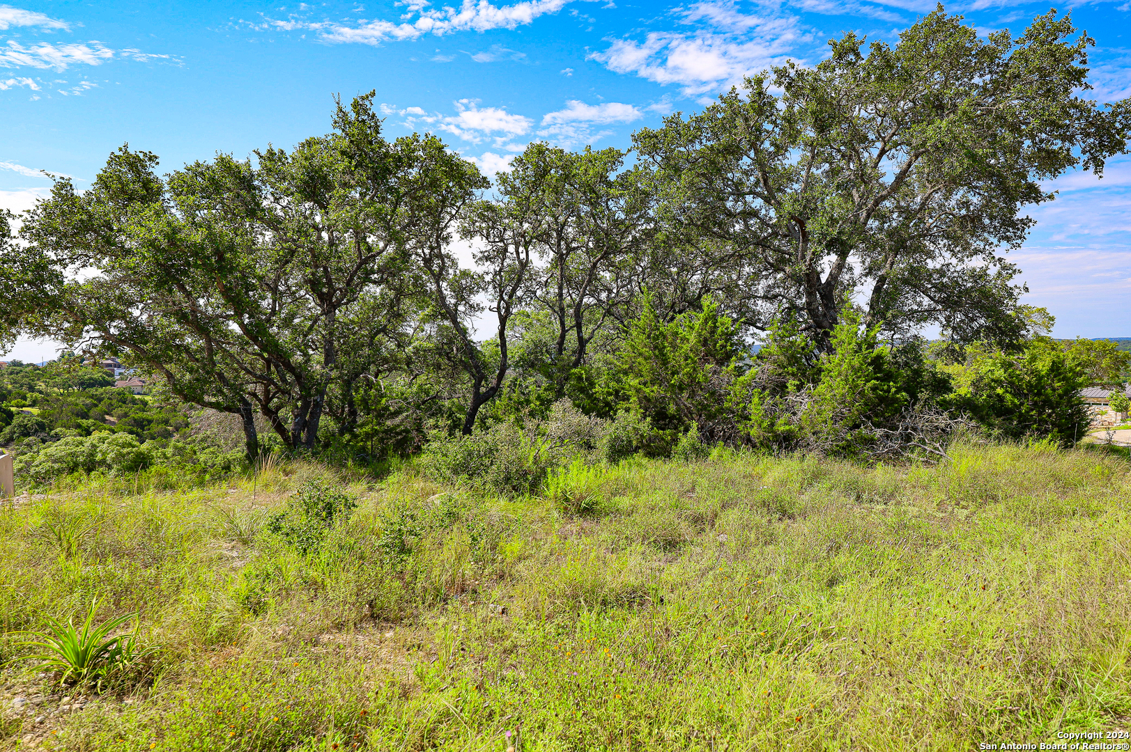255 River Bend Place Spring Branch, TX 78070 - Photo 19 of 21