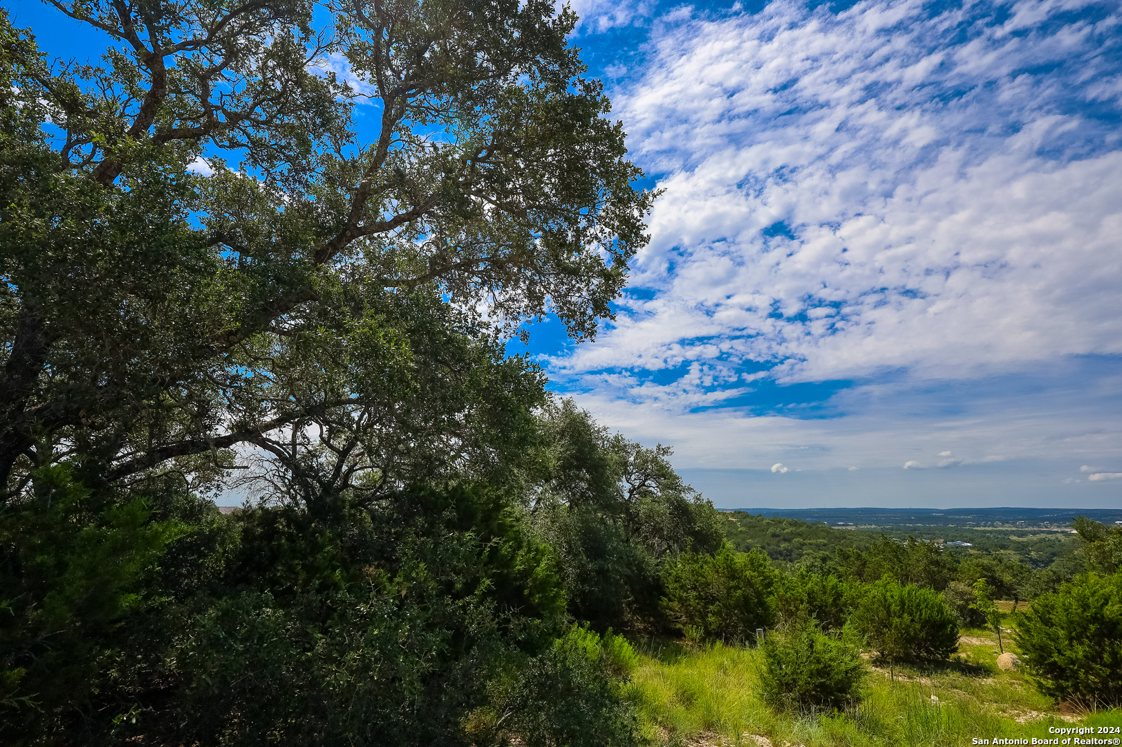 255 River Bend Place Spring Branch, TX 78070 - Photo 20 of 21