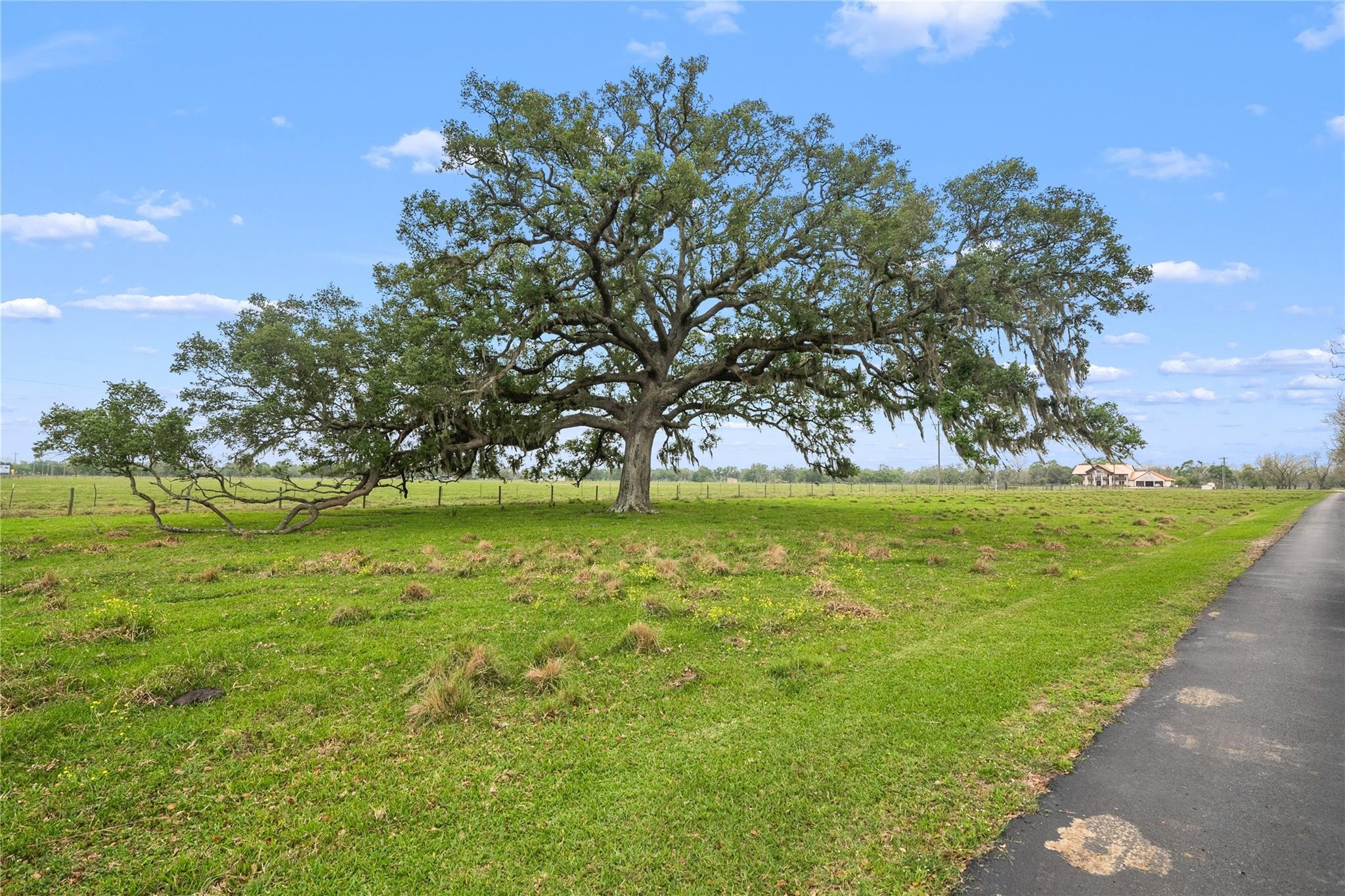 8821 FM 524 Road Sweeny, TX 77480 - Photo 6 of 47 a view of yard with green space