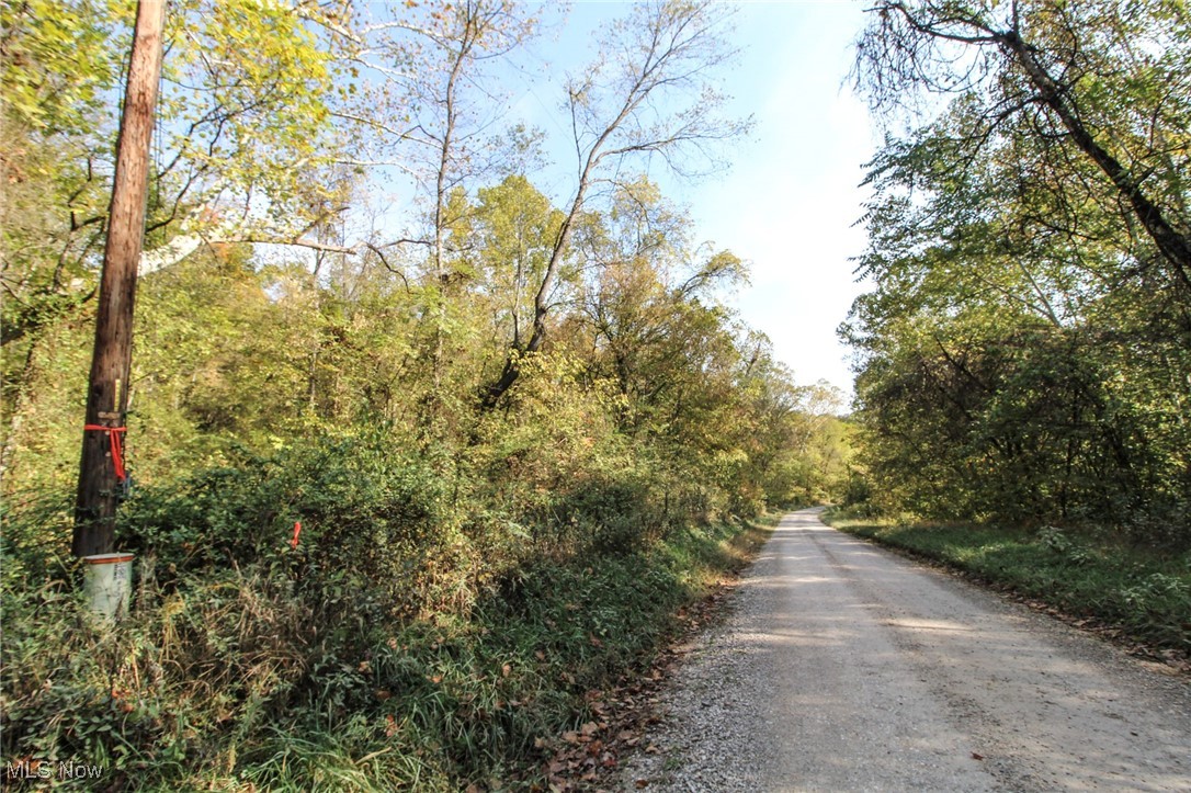 Lot 3 Brooks Road Reno, OH 45773 - Photo 14 of 17 View of dirt / gravel road with a wooded view