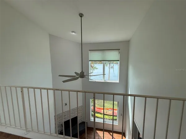 a view of a park with large trees