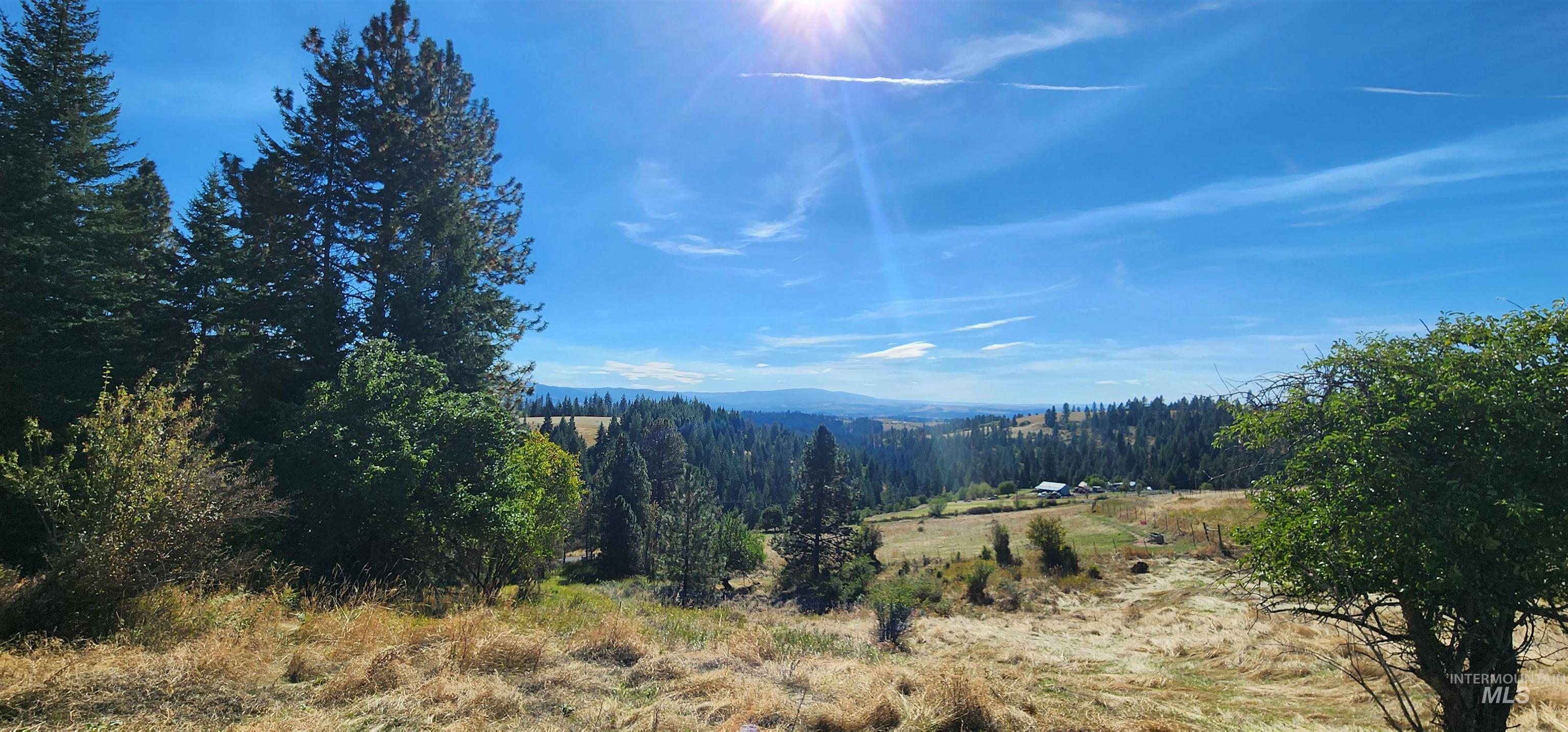 Tbd Red Fir Road Kooskia, ID 83539 - Photo 1 of 34