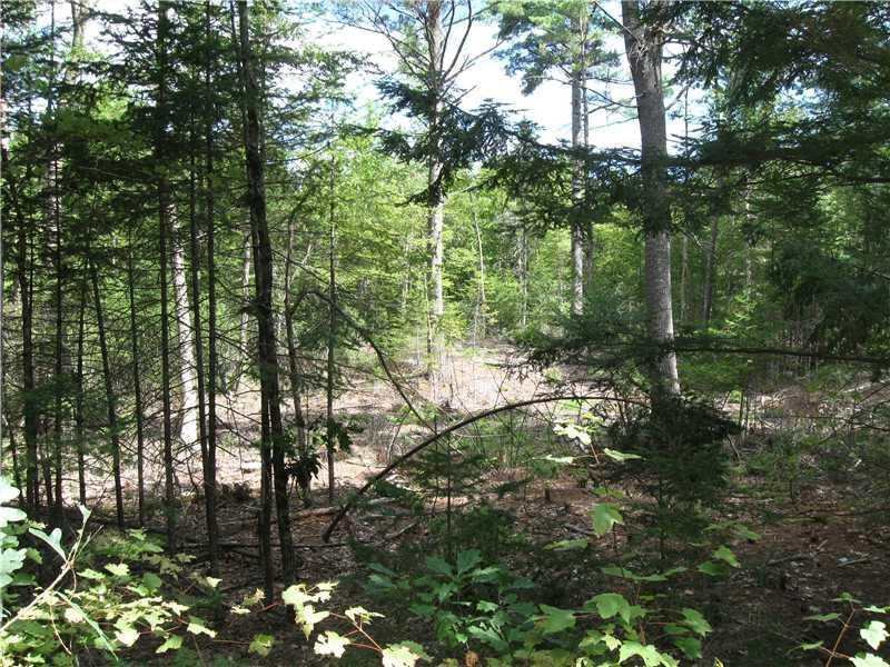 Land/Lot.