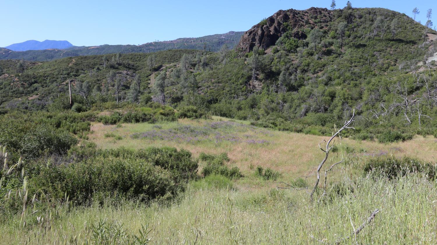 14130 Big Canyon Road Middletown, CA 95461 - Photo 25 of 62