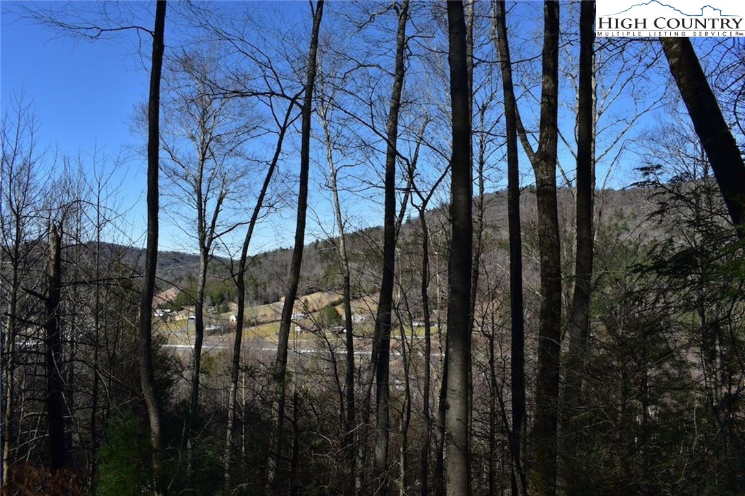 V L Moretz Road Deep Gap, NC 28618 - Photo 3 of 7