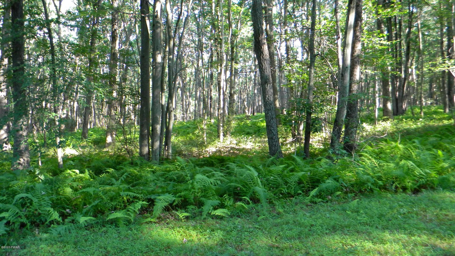 Lot 74 Galahad Road Greeley, PA 18425 - Photo 10 of 15