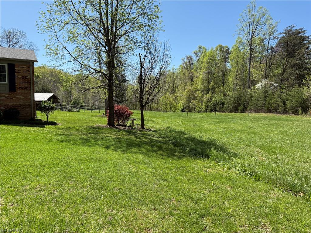 541 Lake Lemar Road Reidsville, NC 27320 - Photo 42 of 47 Gallery Image 42