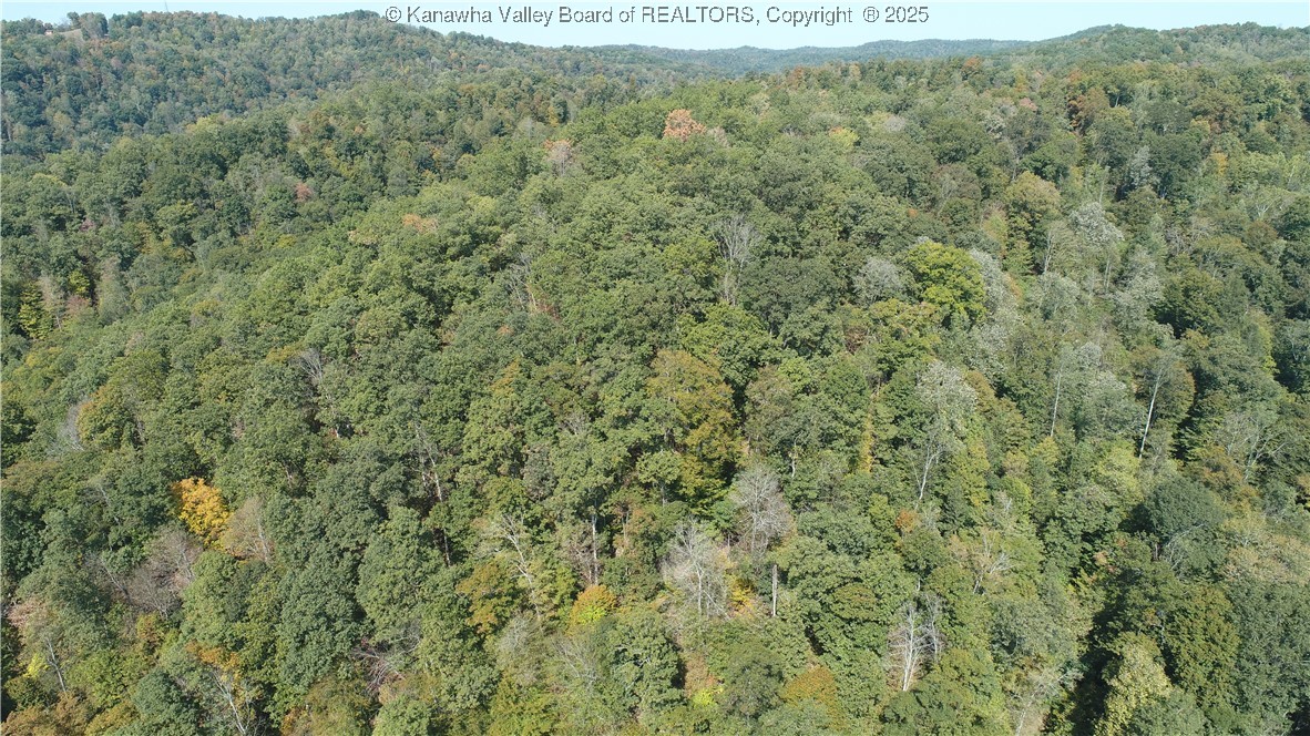 0 Elk River Road Procious, WV 25164 - Photo 24 of 24 Gallery Image 24