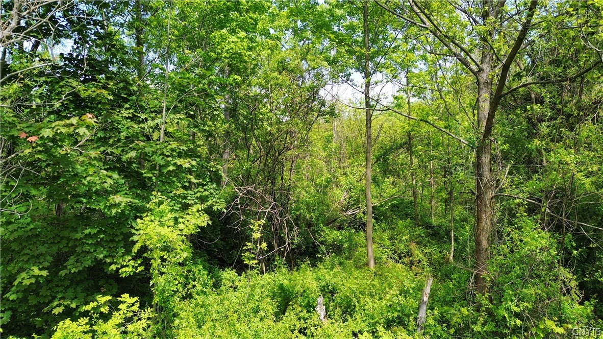 7630 Wall Street Road Wolcott, NY 14590 - Photo 6 of 15