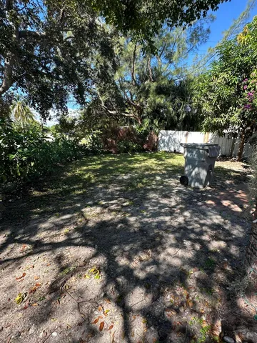 a view of a tree in the middle of a yard