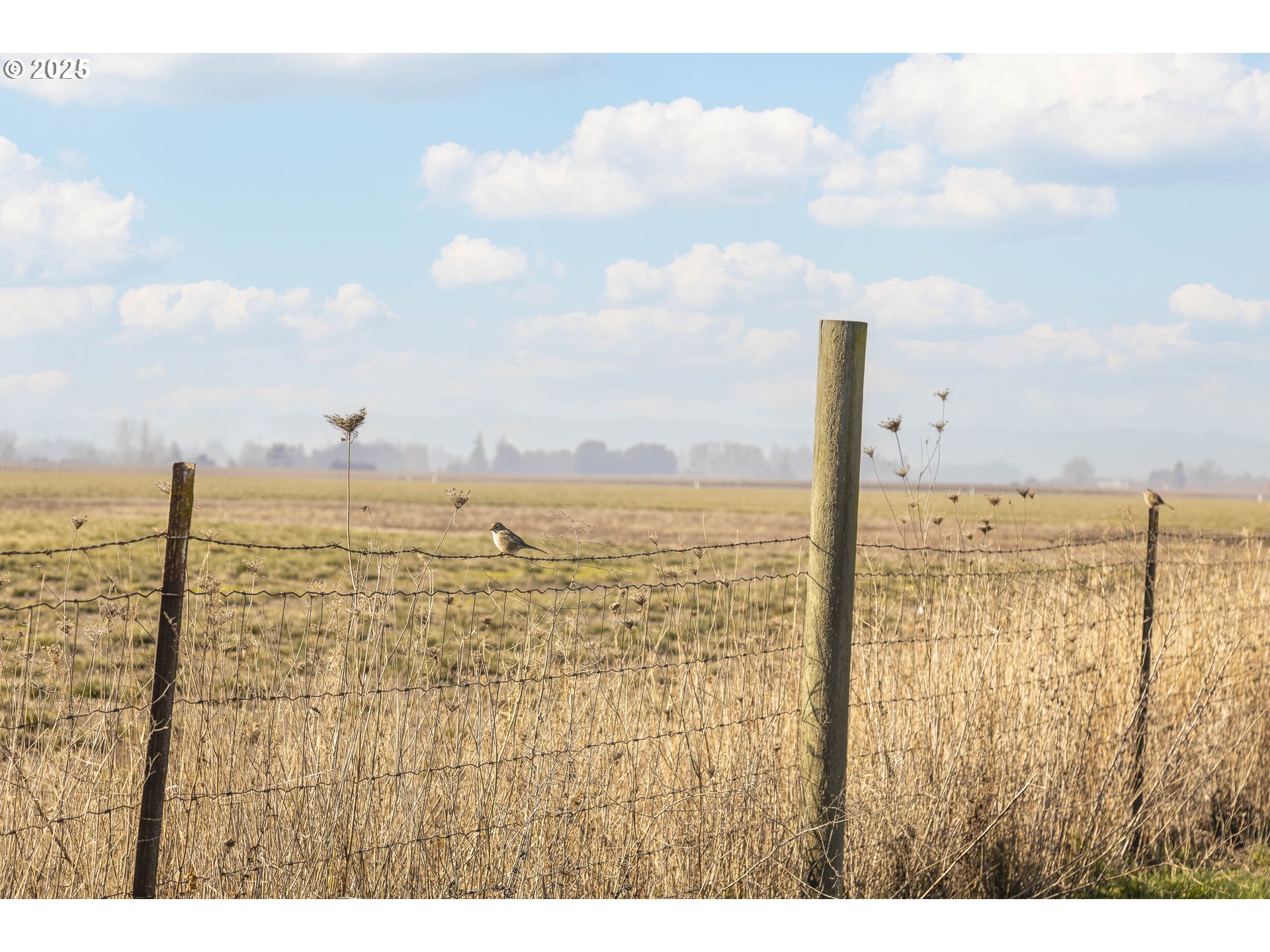 5704 Keene Road Northeast Gervais, OR 97026 - Photo 34 of 38