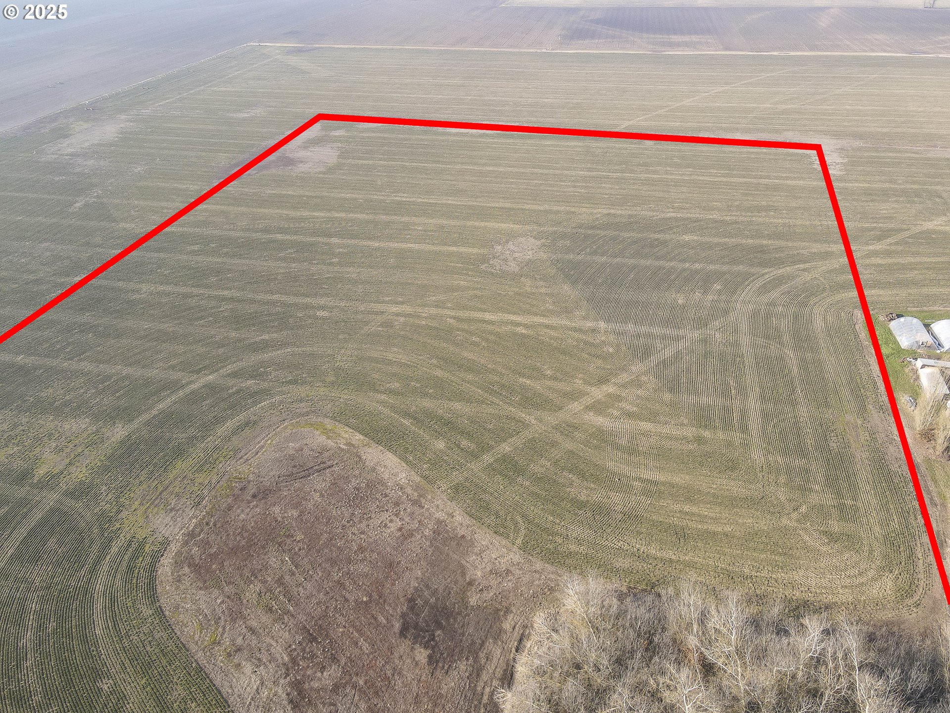 5704 Keene Road Northeast Gervais, OR 97026 - Photo 36 of 38