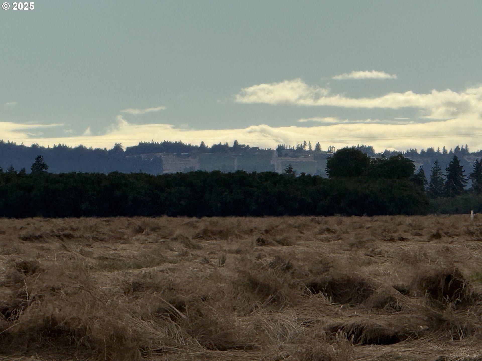 5704 Keene Road Northeast Gervais, OR 97026 - Photo 37 of 38