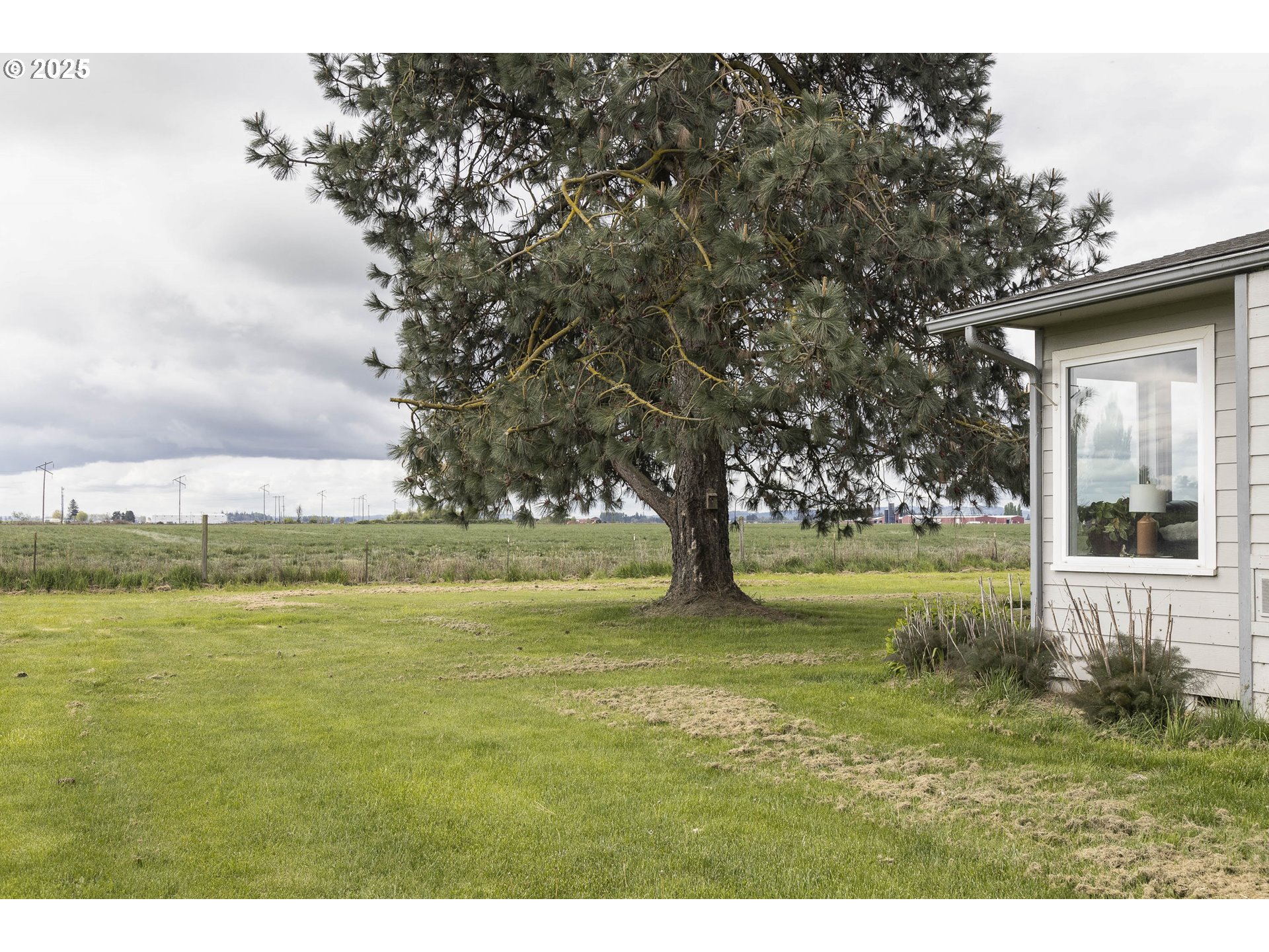 5704 Keene Road Northeast Gervais, OR 97026 - Photo 4 of 38