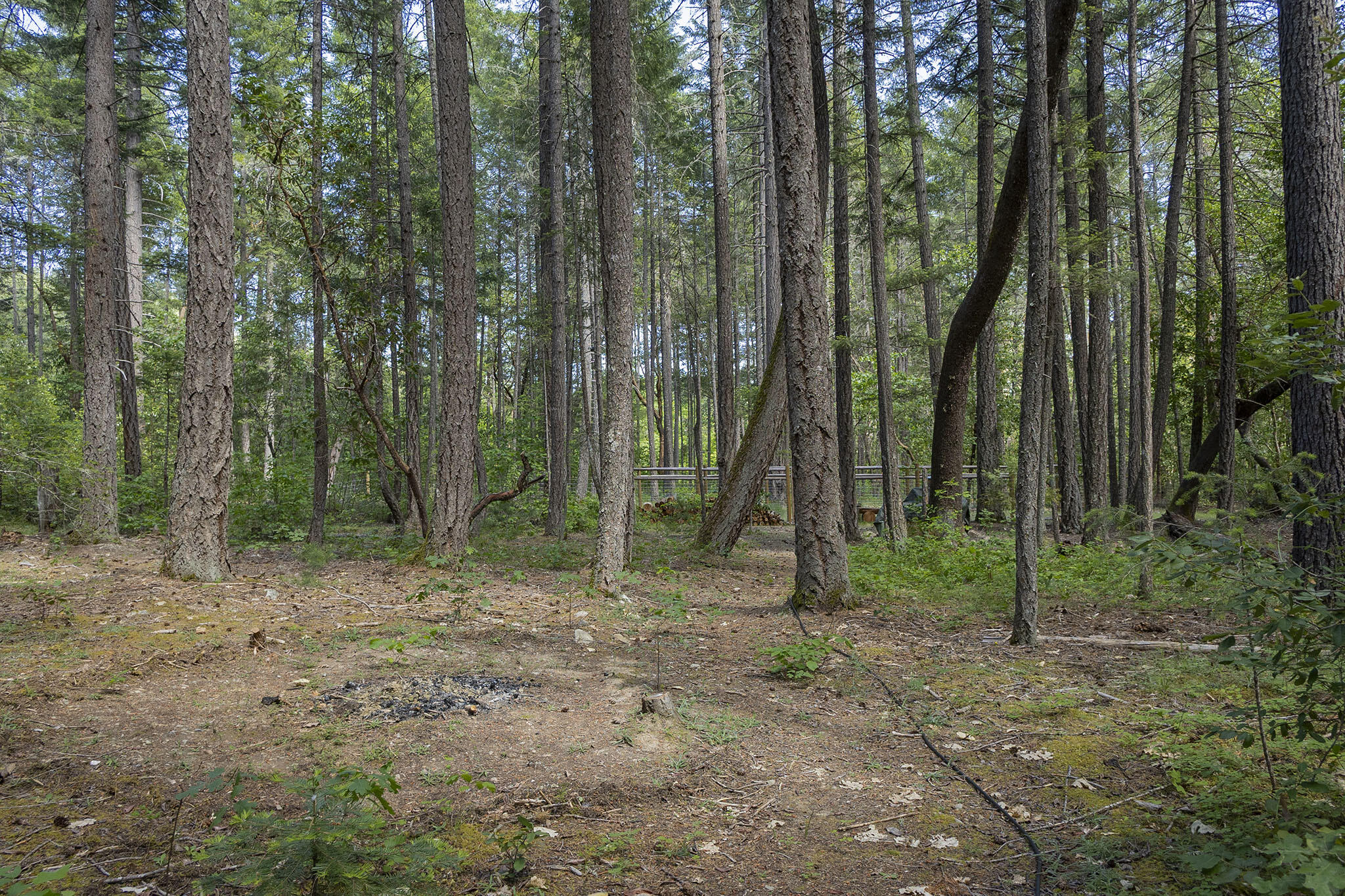 401 China Creek Road Williams, OR 97544 - Photo 41 of 61 41