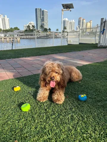 a view of balcony with plants and palm trees